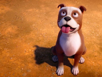 Stubby Stubby