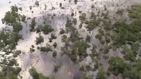 Derramados 60.000 litros de petróleo en la bahía de Guanabara, Brasil, tras un supuesto intento de robo en un oleoducto Derramados 60.000 litros de petróleo en la bahía de Guanabara, Brasil, tras un supuesto intento de robo en un oleoducto