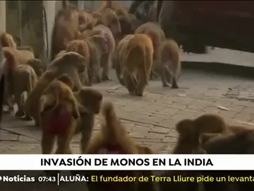 MONOS INDIA MONOS INDIA