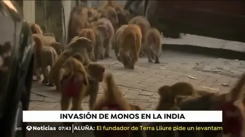 MONOS INDIA MONOS INDIA