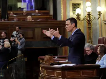 El presidente del Gobierno, Pedro Sánchez, durante su comparecencia en el Congreso El presidente del Gobierno, Pedro Sánchez, durante su comparecencia en el Congreso