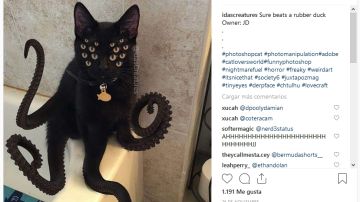 El instagram de @idascreatures