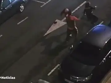 pelea ertzainak pelea ertzainak