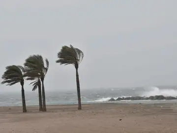 Temporal en playa Temporal en playa