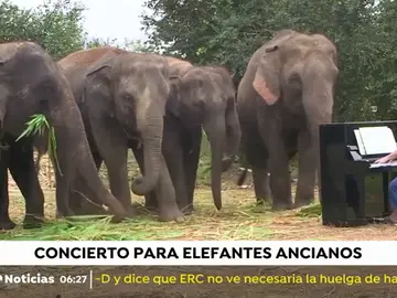 ELEFANTE_NUEVA ELEFANTE_NUEVA