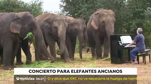 ELEFANTE_NUEVA ELEFANTE_NUEVA