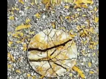 La belleza de los reflejos a ojos de Sebastián Magnani La belleza de los reflejos a ojos de Sebastián Magnani