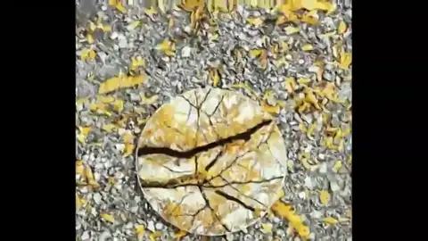 La belleza de los reflejos a ojos de Sebastián Magnani La belleza de los reflejos a ojos de Sebastián Magnani