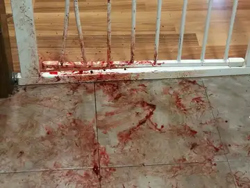 El rastro que dejó la perra asustada por los petardos El rastro que dejó la perra asustada por los petardos