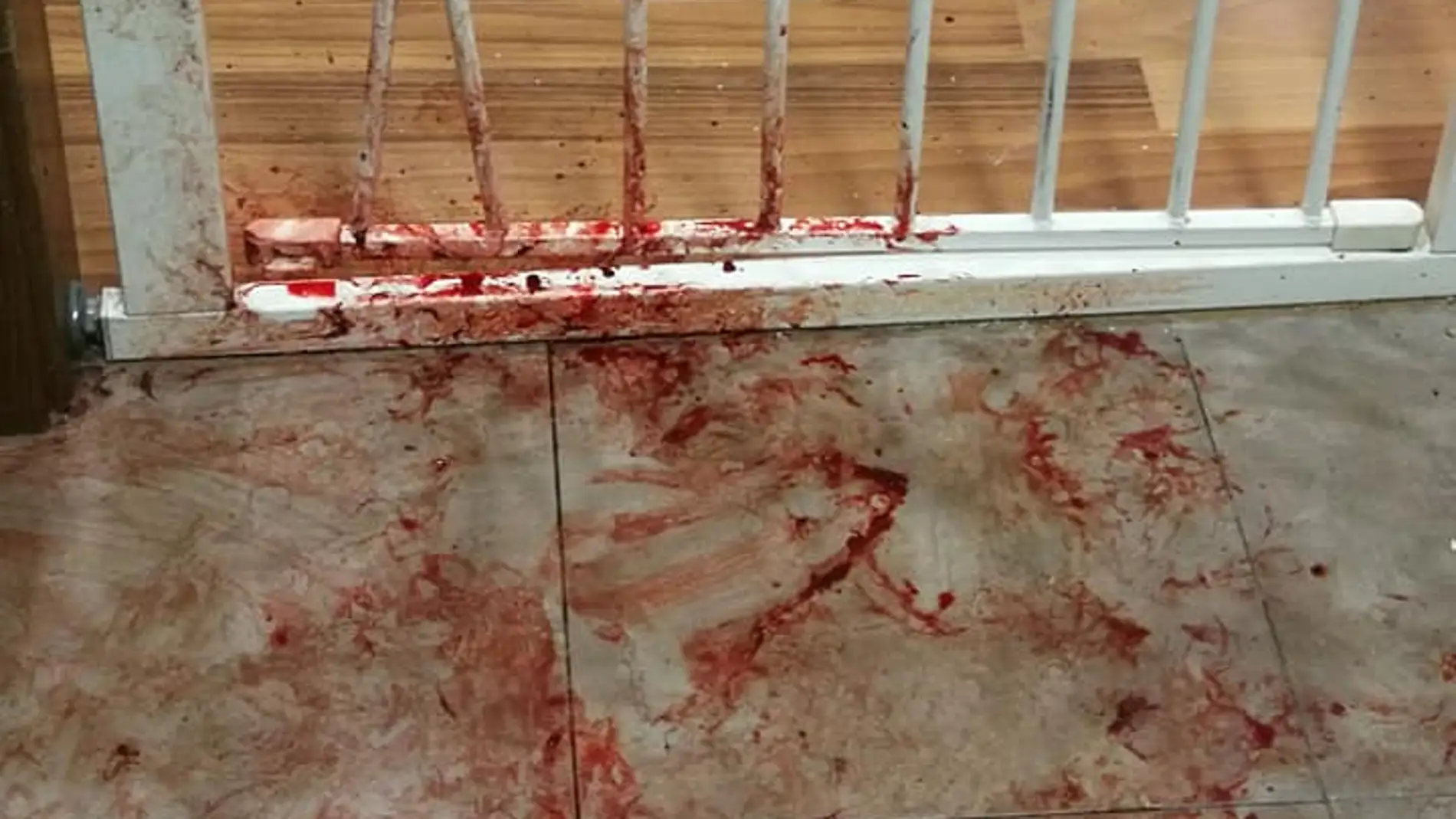 El rastro que dejó la perra asustada por los petardos El rastro que dejó la perra asustada por los petardos