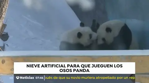 PANDA PANDA