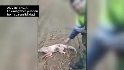 REEMPLAZO Detenido el autor de una salvaje agresión a un zorro: lo pateó y lanzó por los aires hasta su muerte REEMPLAZO Detenido el autor de una salvaje agresión a un zorro: lo pateó y lanzó por los aires hasta su muerte