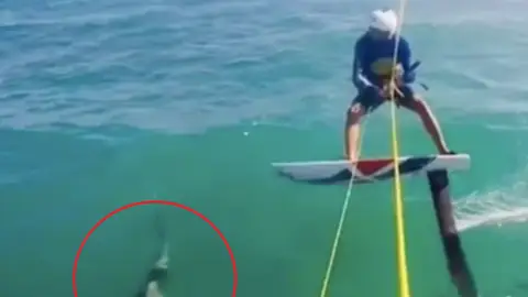 Un surfista choca con un tiburón Un surfista choca con un tiburón