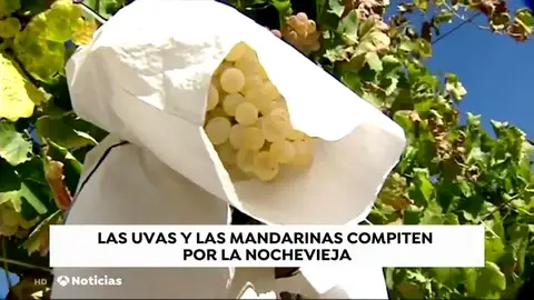 Las uvas y las mandarinas compiten por la nochevieja Las uvas y las mandarinas compiten por la nochevieja