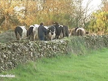 En Galicia desaparece una granja cada día
