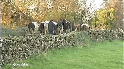 En Galicia desaparece una granja cada día En Galicia desaparece una granja cada día