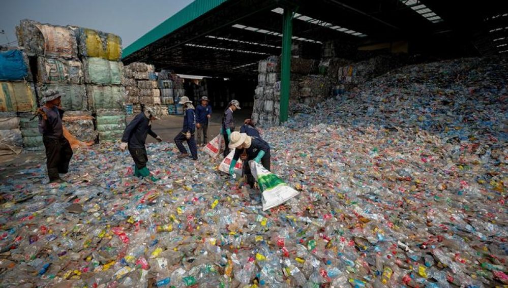 Varios trabajadores caminan entre botellas de plástico