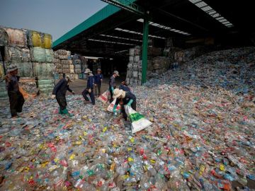 Varios trabajadores caminan entre botellas de plástico
