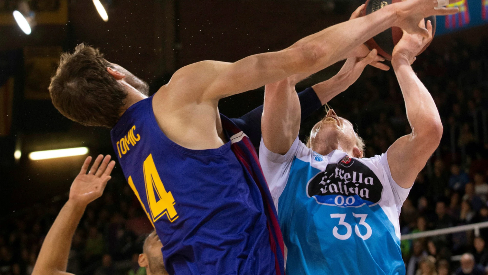 Singler, ante Tomic Singler, ante Tomic