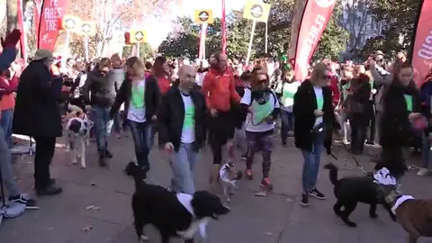 La San Perrestre, la carrera que junta a perros y dueños por Navidad La San Perrestre, la carrera que junta a perros y dueños por Navidad