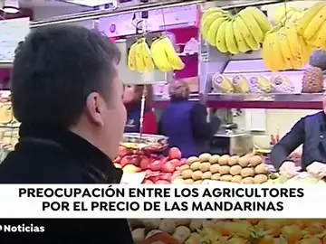 La mandarina es la fruta estrella de las navidades La mandarina es la fruta estrella de las navidades
