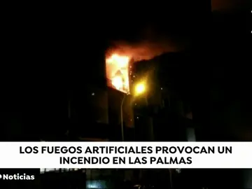 palmas palmas