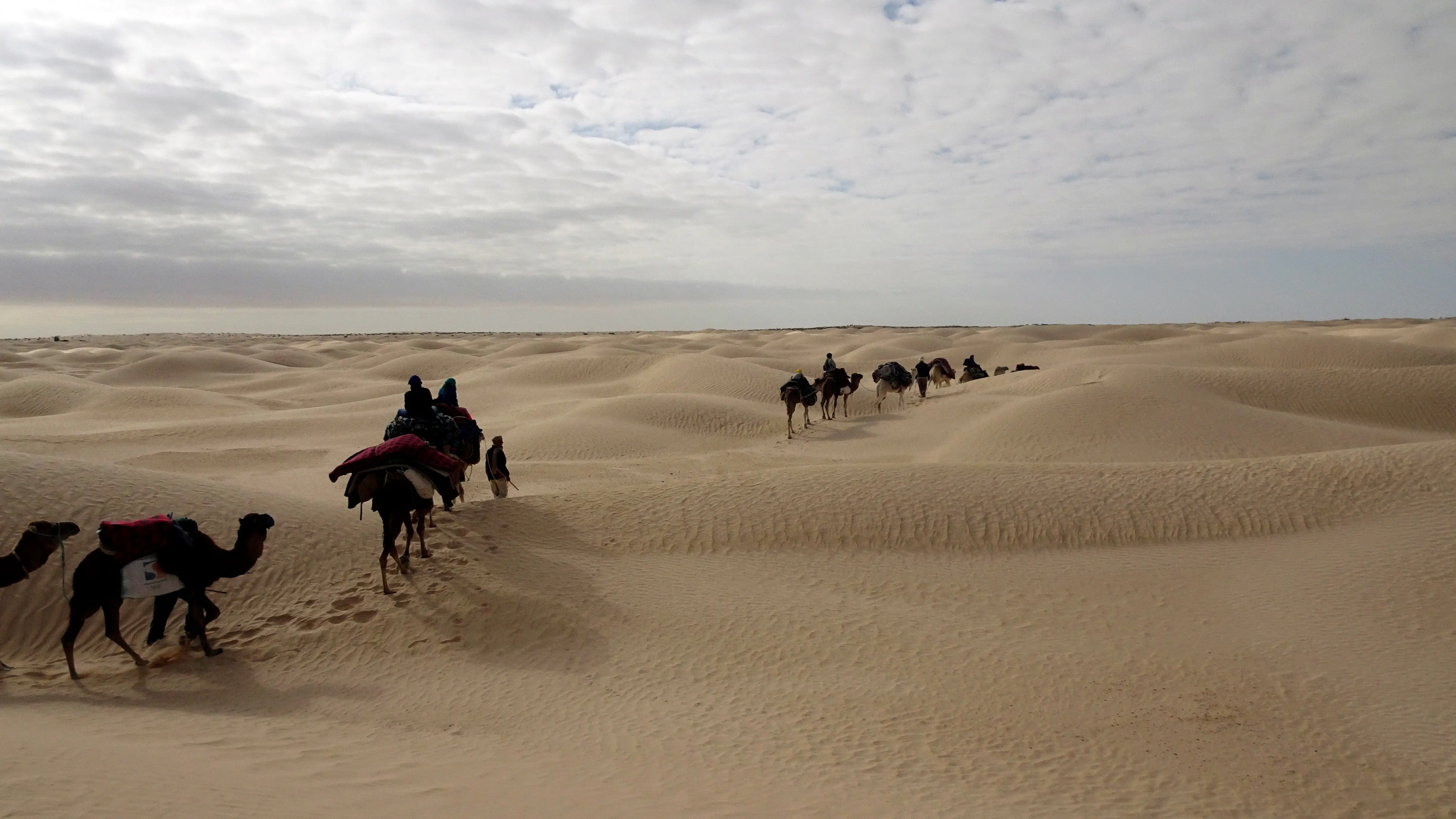 Camellos en la arena (04-01-19) Un grupo de turistas se internan en el desierto de Douz, en el sur de Túnez (04-01-19)