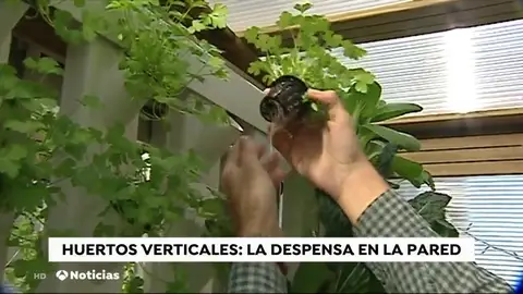 HUERTA HUERTA