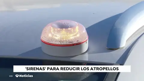 trafico trafico