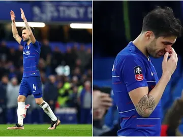 Cesc se despide de Stamford Bridge Cesc se despide de Stamford Bridge