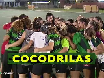 cocodrilas_A3d cocodrilas_A3d