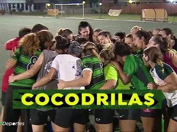 cocodrilas_A3d cocodrilas_A3d