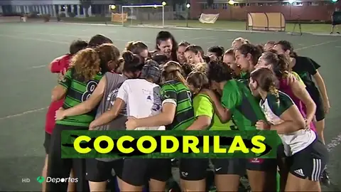 cocodrilas_A3d cocodrilas_A3d