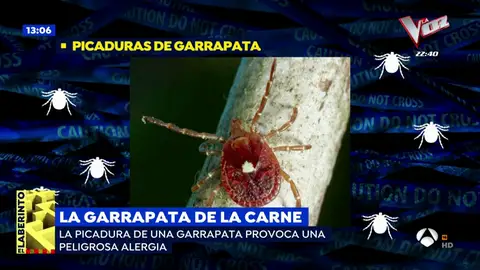 Garrapata Garrapata