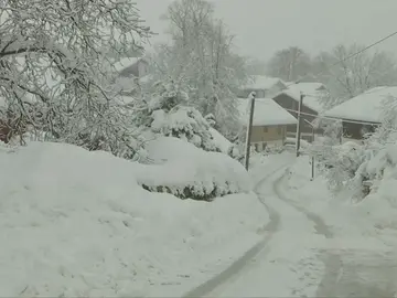 El temporal de nieve en Alemania obliga a cancelar cientos de vueltos El temporal de nieve en Alemania obliga a cancelar cientos de vueltos