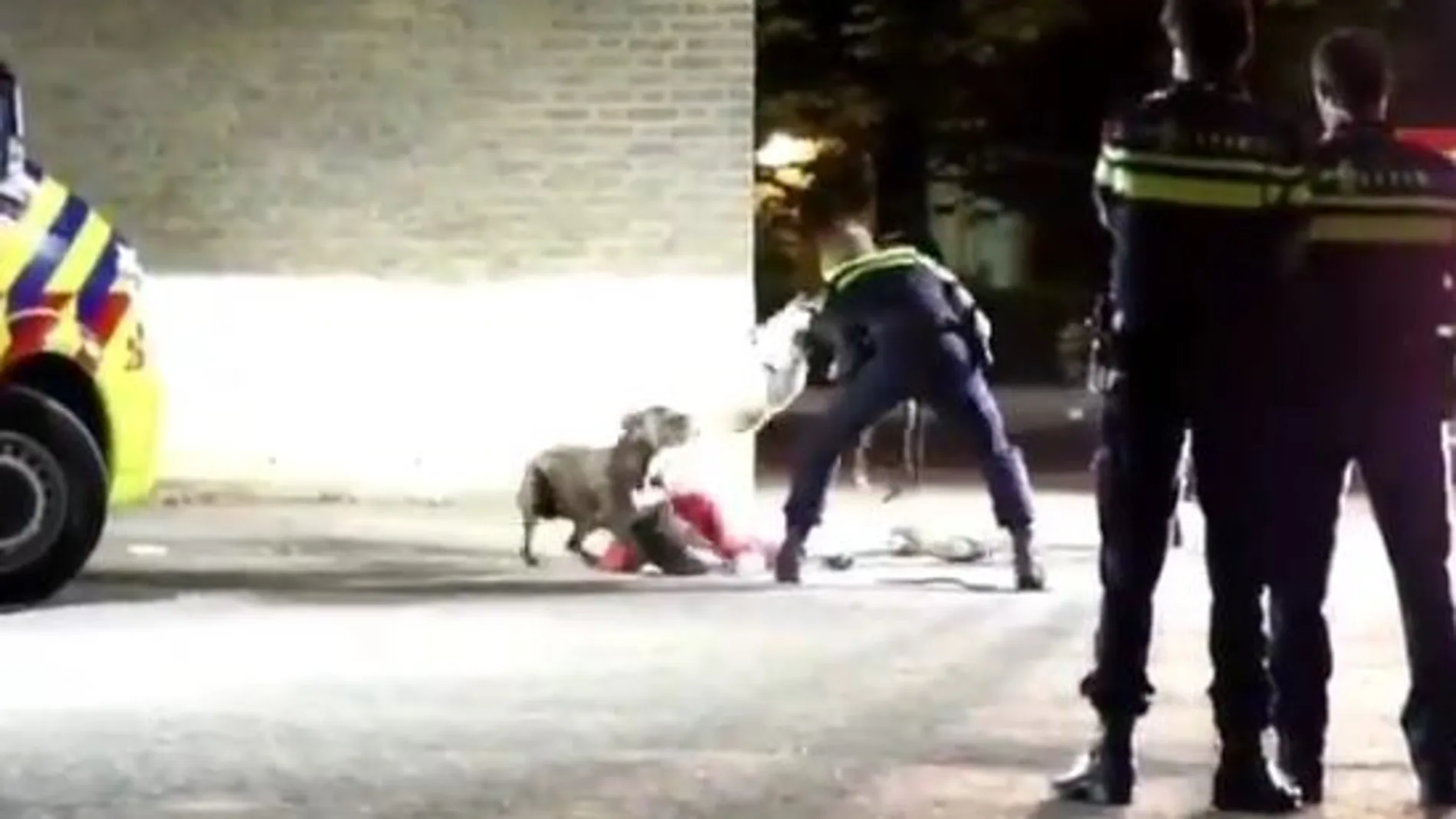 Los agentes consiguen calmar a un perro en Holanda Los agentes consiguen calmar a un perro en Holanda