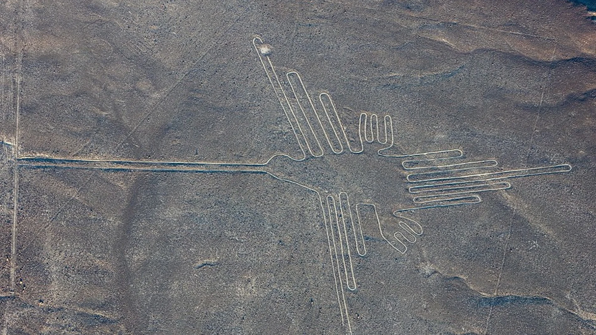 Líneas de Nazca Líneas de Nazca