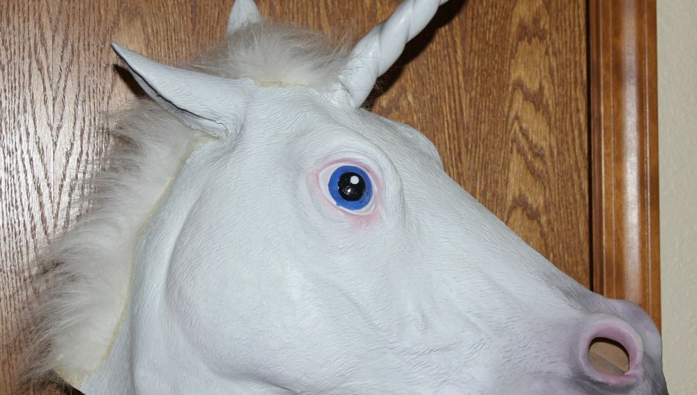 Disfraz de un unicornio.