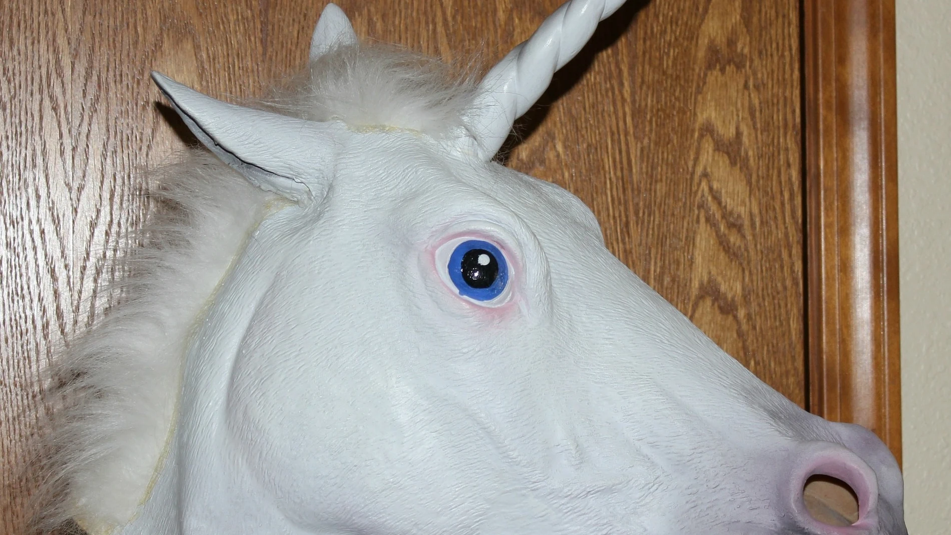 Disfraz de un unicornio. Disfraz de un unicornio.