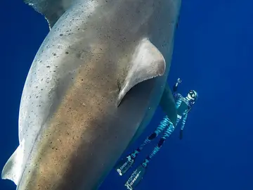 Deep Blue Deep Blue