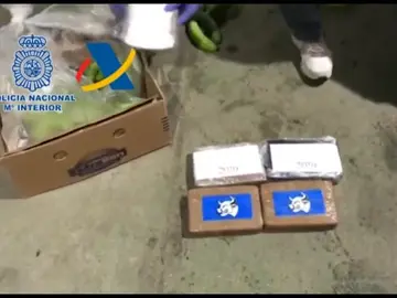 Desarticulada una banda que introducía cocaína a España en cajas de bananas Desarticulada una banda que introducía cocaína a España en cajas de bananas