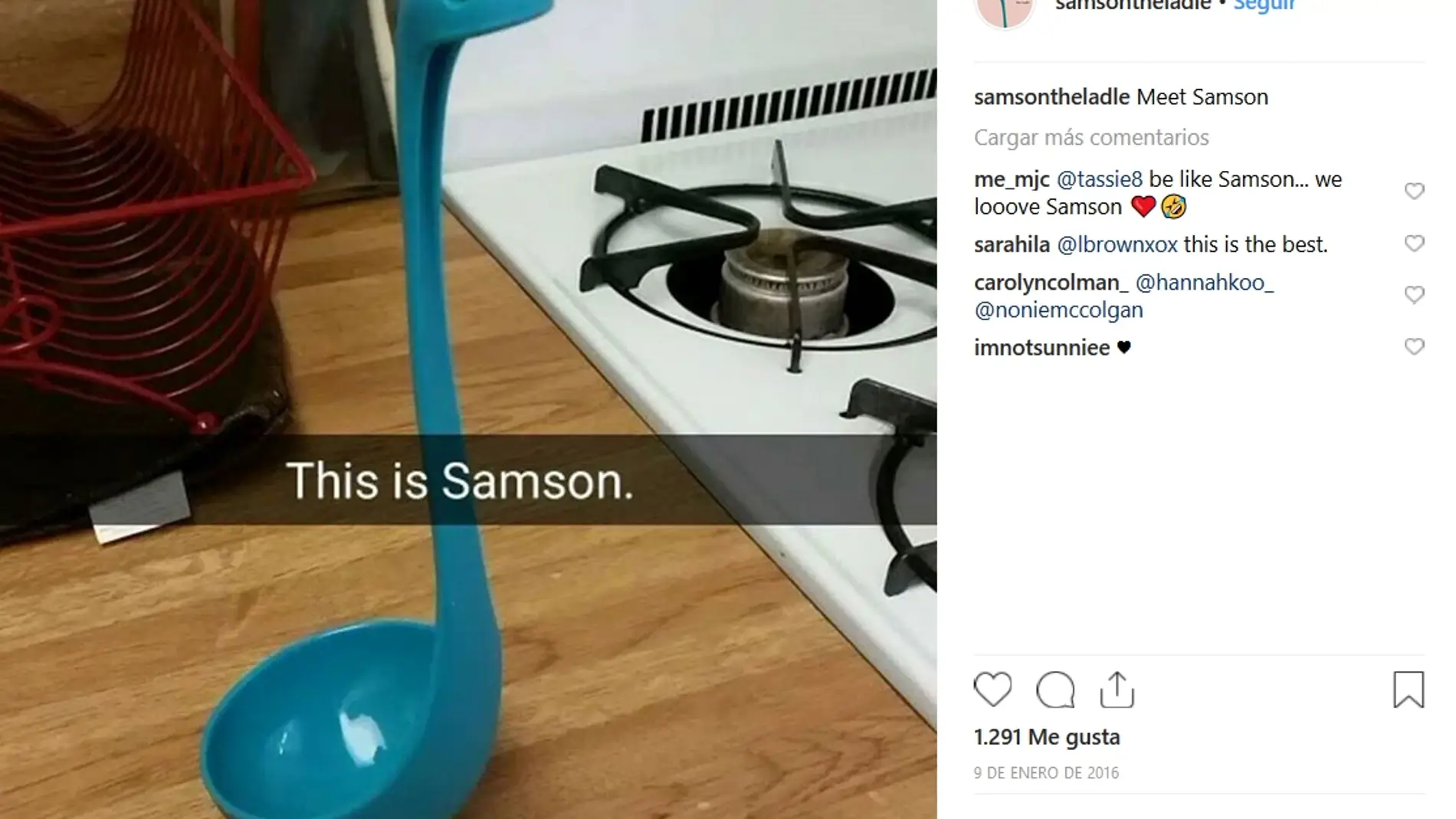 Samson The Ladle
