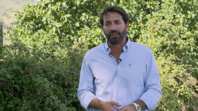 ¿Cómo es la relación entre Francisco y Alfonso? ¡Antonio Garrido nos lo cuenta!