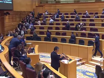 Senado: comparecencia de Pedro Sánchez... sin Pedro Sánchez Senado: comparecencia de Pedro Sánchez... sin Pedro Sánchez