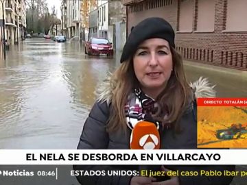 TEMPORAL MUNICIPIO BURGALÉS TEMPORAL MUNICIPIO BURGALÉS