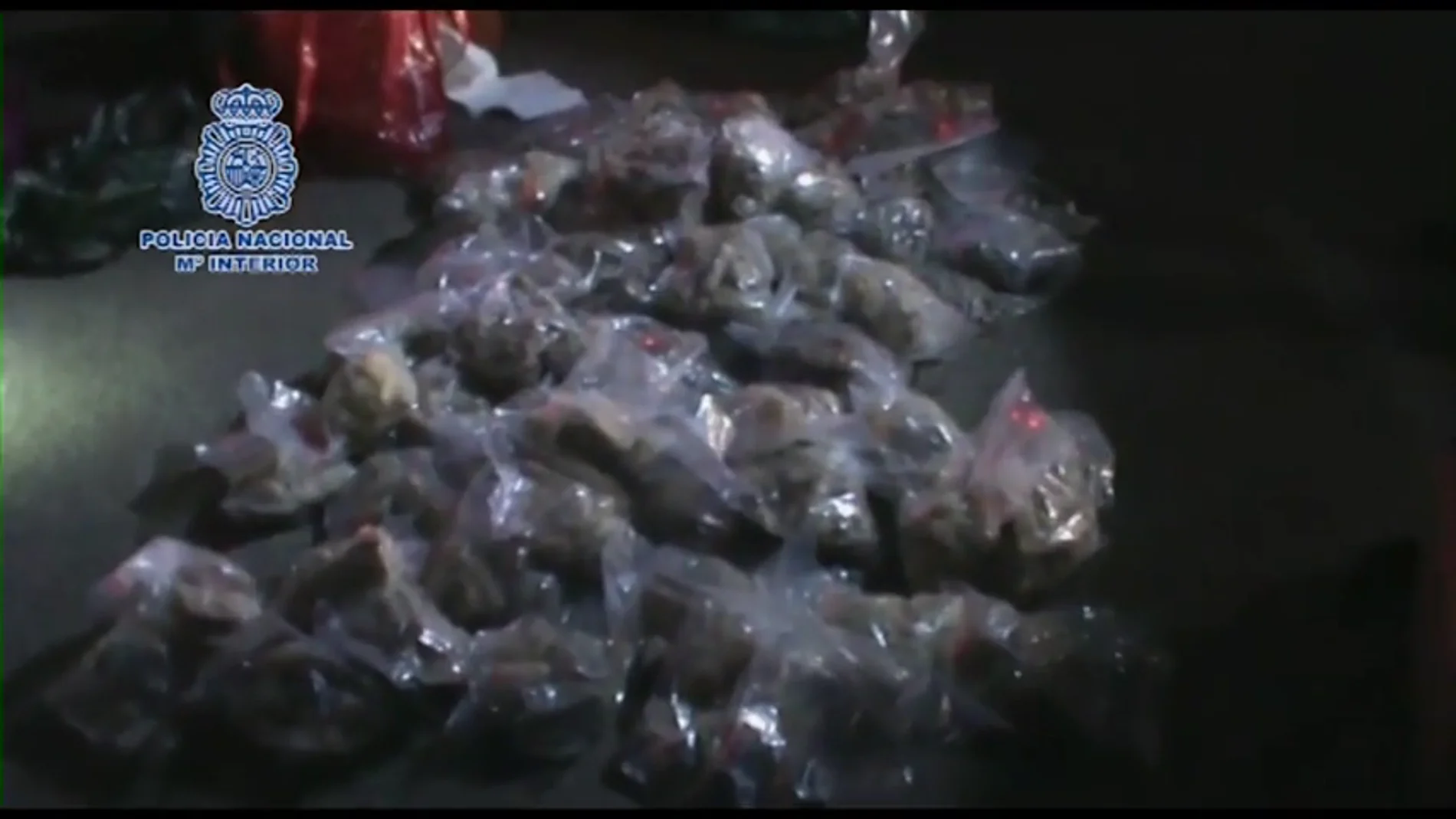 Intervenidos más de 70 kilos de MDMA en dos operaciones contra el tráfico de drogas Intervenidos más de 70 kilos de MDMA en dos operaciones contra el tráfico de drogas