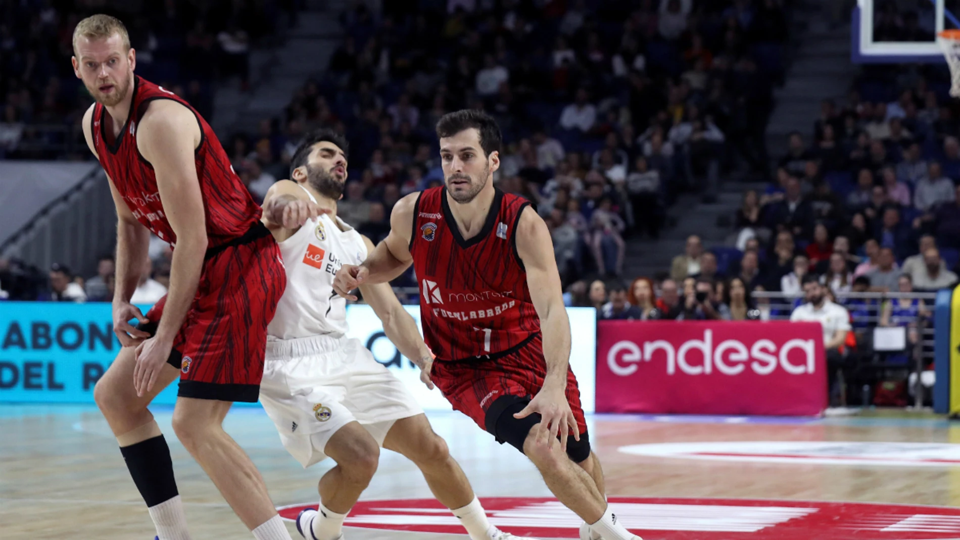 Campazzo, ante Tomás Bellas Campazzo, ante Tomás Bellas