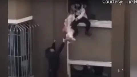 Momento en el que el bebé de cuatro meses se precipita desde la ventana Momento en el que el bebé de cuatro meses se precipita desde la ventana