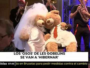 Despiden a cientos de osos de peluche que adornaban las calles y locales de París desde noviembre Despiden a cientos de osos de peluche que adornaban las calles y locales de París desde noviembre