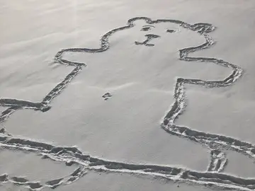 El dibujo del oso en la nieve que ha despertado curiosidad El dibujo del oso en la nieve que ha despertado curiosidad